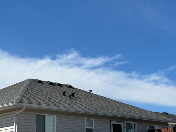 Best Green or Eco-Friendly Roofing Solutions  in Huntsville, TX